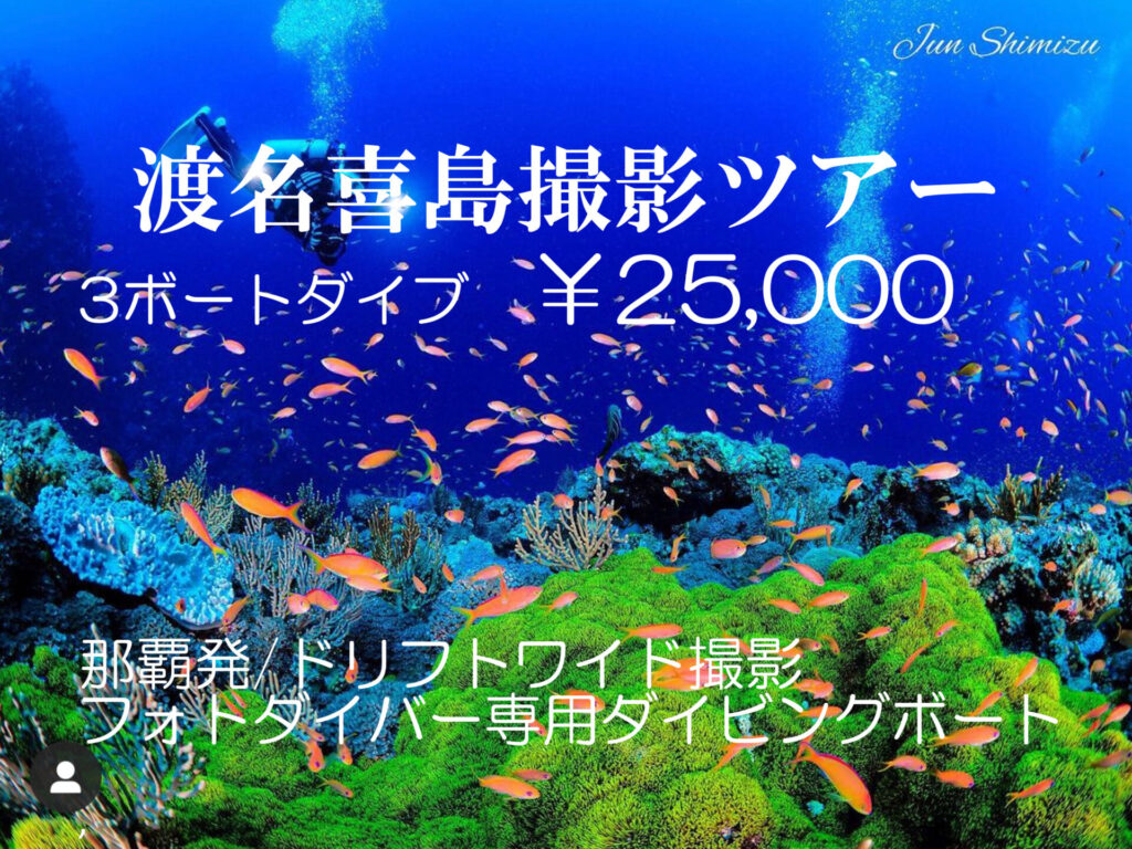 特大上下2枚仕様】沖縄県の離島 渡名喜島の水中風景 パノラマX版×上下2枚-